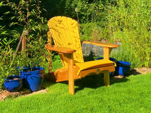 1 Classic Adirondack Chair with cushion